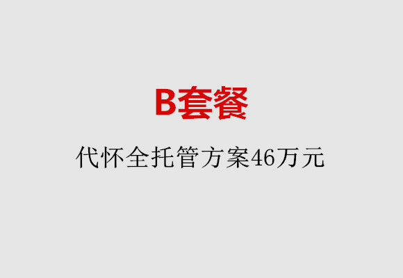 乌鲁木齐B套餐：代怀全托管方案46万元